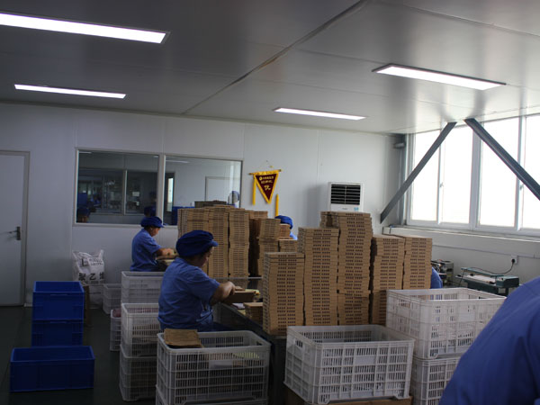 哪家膏藥oem貼牌加工廠的性價比高？
